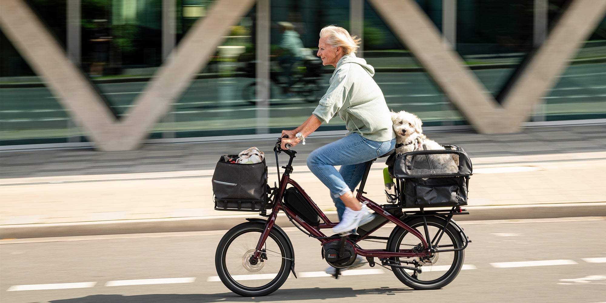 Electric Bikes