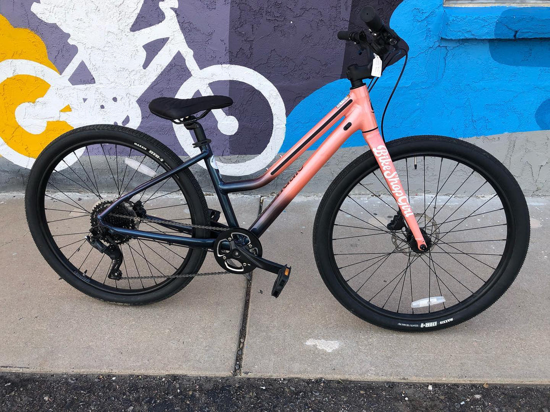 Rental Bike Sale