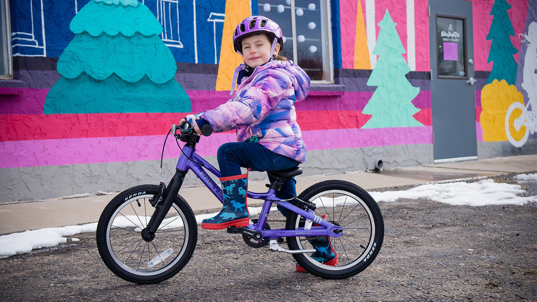 2019 Bike Layaway Plan