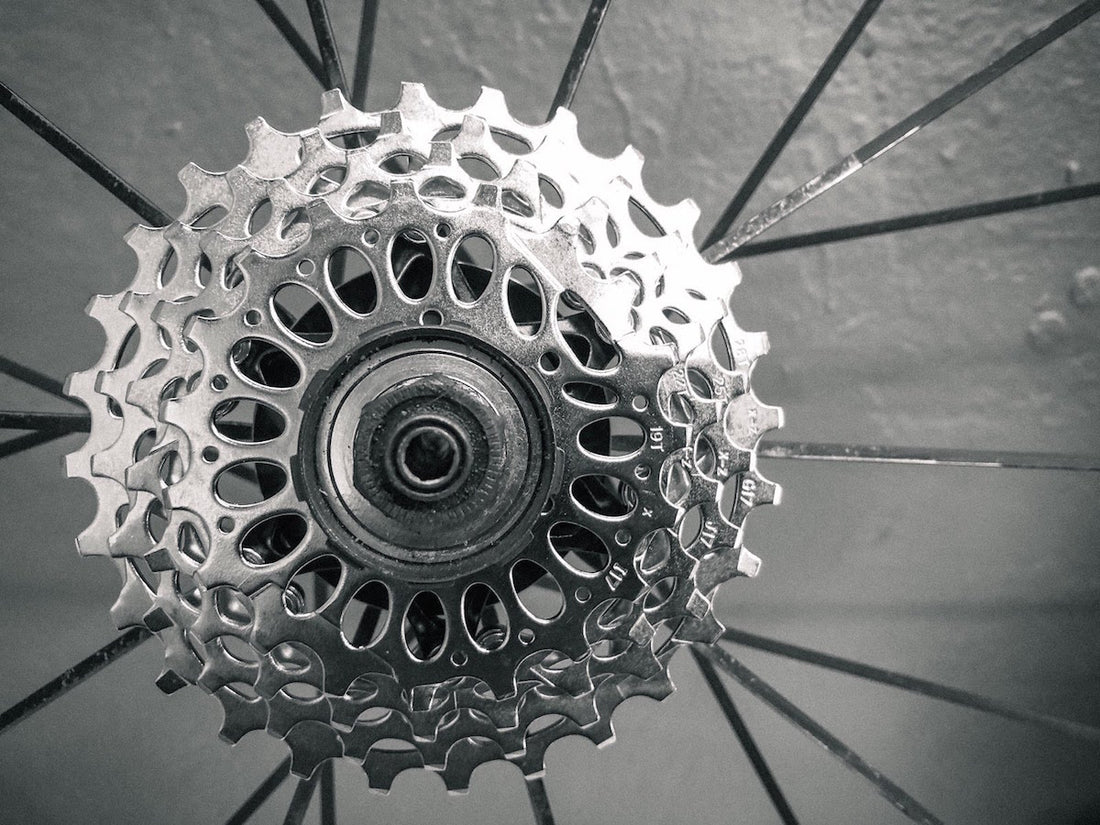 Give the Gift of Bicycle Service