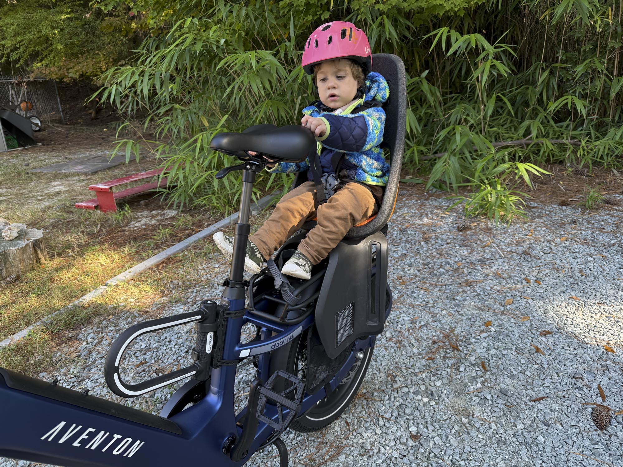 aventon abound sr cargo bike with toddler