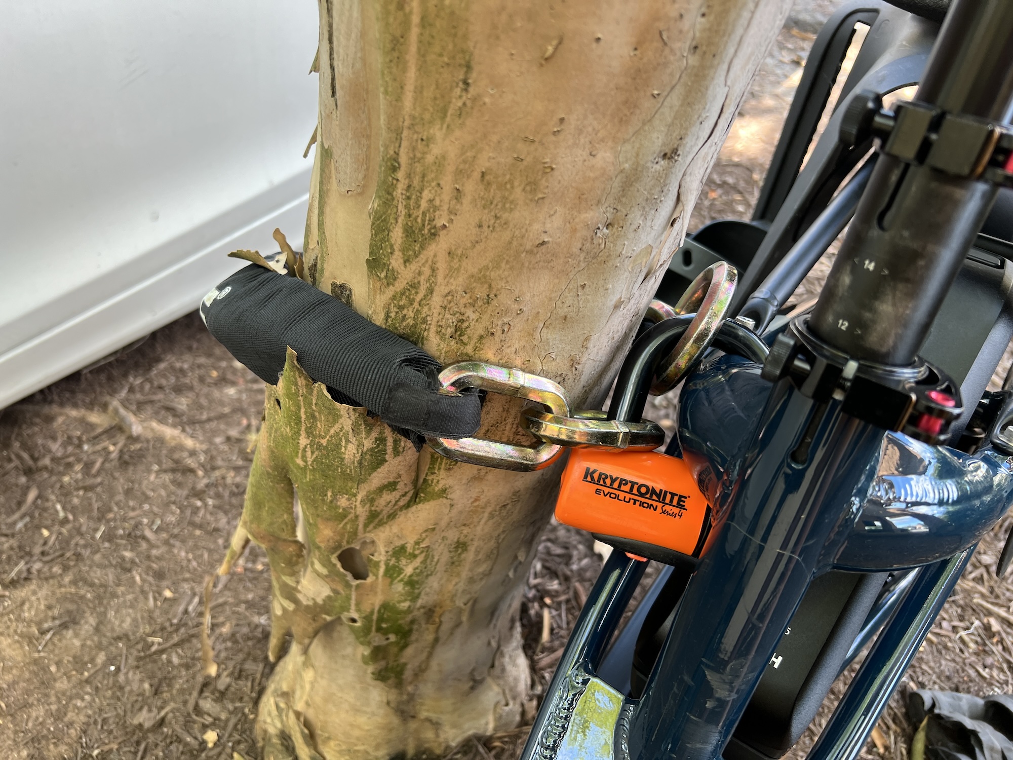 Kryptonite 1275 ebike lock to tree